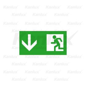 EXIT PICTO