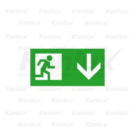 EXIT PICTO