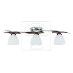 Archimedes venge 11953