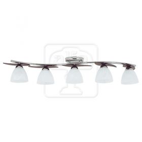 Archimedes venge 11955
