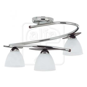 Archimedes venge 11954