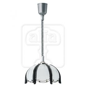 Jaskolka venge 16351